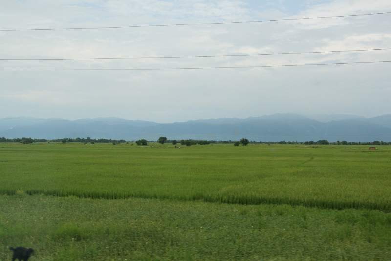 India & Nepal 2011 - 0638